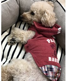 チャコもパーカーなんだよー💗 | スヌーピーだよ♫(その他)