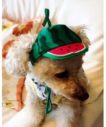 スイカ🍉の帽子だよ💗 | キャップ