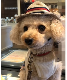 麦わら帽子を試着👒 | ハット