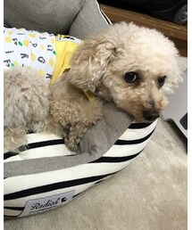 チャコも一緒に写りたかったなぁ😿 | その他