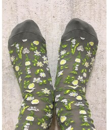 no brand | 小樽の雑貨屋さんで購入🧦🧦(ソックス/靴下)