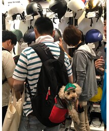 ヘルメットの説明を聞いてる旦那とチャコ🍉 | その他