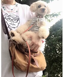 タケTとチャコ🌸 | チャコ、タケしゃんが見ているよ(笑)(その他)