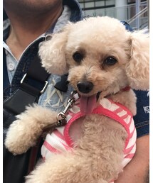 ポールダンス見学中のチャコ💗 | お姉しゃん、カッコいいね❣️(その他)