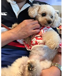 チャコの休日🌸 | ギュウギュウの中でも可愛いねぇ💗と褒められて嬉しがるチャコ(その他)