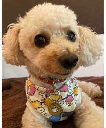 チャコはアフロのスヌーピー💗 | その他