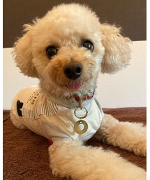 チャコの👅 | その他