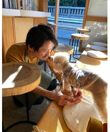 新人亀ちゃんにペロペロ🐶 | 優しい眼差しにチャコも気持ちを許しまくり✨(その他)