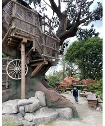 ボクちゃん、オラ❣️トムソーヤになる❣️ | かけずりまわる!!ここで私は筋肉痛に、、(その他)