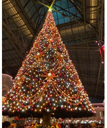 クリスマスイベント前だけどツリー🎄あったー✨ | 両側はプロジェクションマッピングでクリスマス🎄(その他)