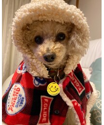 チャコも寒いのニガテなの☃️ | その他