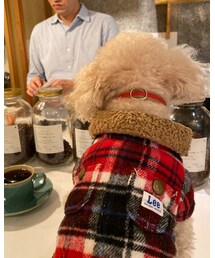 マスター!もう一杯!☕️ | その他