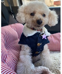 チャコはLeeのデニムワンピだよ💕 | その他