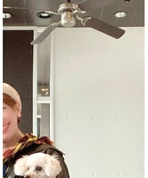 douxc | ハンチング/ベレー帽