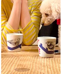 marimekko | グラス/マグカップ/タンブラー