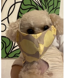 チャコはマスクは要らないよっ💦 | ふがふが！(その他)