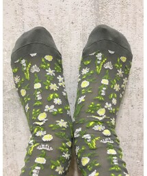 no brand | ソックス/靴下