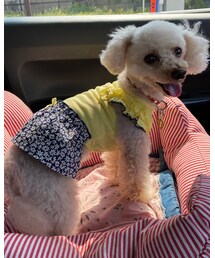 チャコは夏ワンピ🌼 | フリフリのお袖に紺の花柄スカートなんだよ💗(その他)