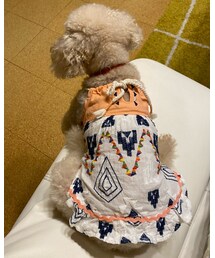 ヒモワンピとは、、🌸 | 肩ひもってことかな??(その他)