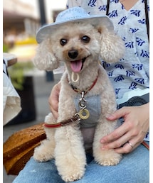 チャコの戦利品👒✨ | その他