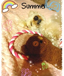 お客様に貰ったおもちゃと寝るチャコ💗 | その他