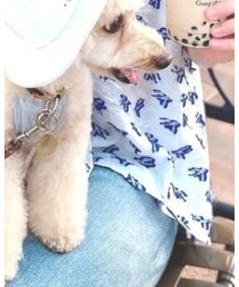 Sally Scott | デニムパンツ