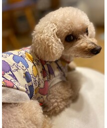 チャコはアフロのスヌーピーだよ🌸 | その他