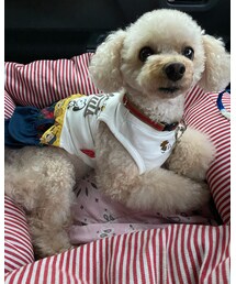 チャコも一緒だよ💗 | その他