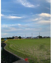 のどかな風景🌾🌾✨ | その他