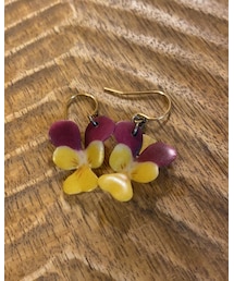 OVCE | ピアス（両耳用）