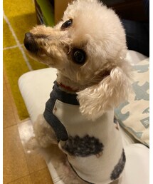 お米屋さんのお姉さんにもらったよ💗 | ミンネを開いて、odenmamで検索してね♪(その他)
