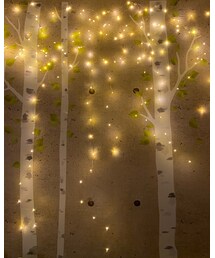 白樺キラキラ✨ | その他