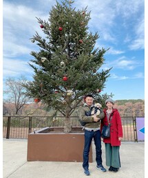 クリスマス🎄 | パークから1番遠い場所、、ツリー綺麗でよかった✨(その他)