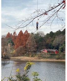 紅葉🍁 | あっちの岸にはムーミンがいるのに、、(その他)