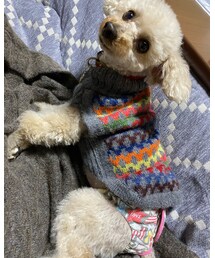 チャコのパンツ💗 | その他