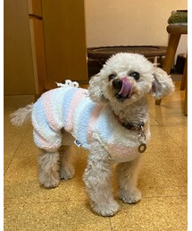 チャコはぬくぬくロンパース💗 | ペコちゃんぽい顔❣️(その他)