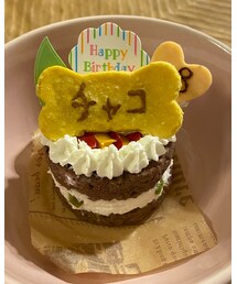 肉のケーキ🎂✨ | 匂いが肉‼️(その他ペットグッズ)
