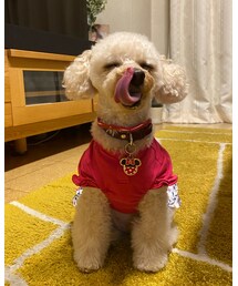 完食💗 | ごっつあんです(その他)