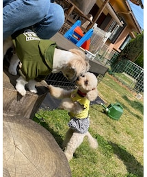 お友達になったコウタくん💗 | こんにちは💗私、チャコって言います💗(ペットウェア)