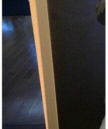 Champion | Tシャツ/カットソー