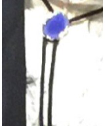 ループタイ | ファッション雑貨