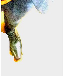 UNIQLO | スラックス