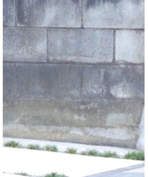 Gramicci | シャツ/ブラウス