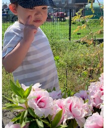 無印良品 | Tシャツ/カットソー