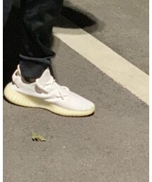 adidas | スニーカー