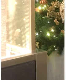 ART COMES FIRST | シューズ