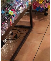 CONS SB | スニーカー