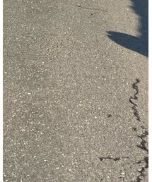 adidas | その他パンツ