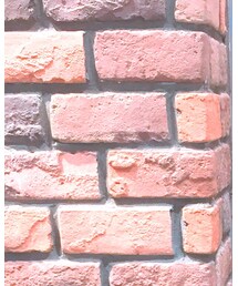 WEGO | サングラス