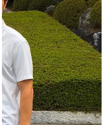 LACOSTE | シャツ/ブラウス